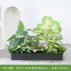 [Serie Y80] Decoración de Partición de Planta Verde Simulada Macetero Maceta Valla Paisajística de Plástico Biónico Diseño