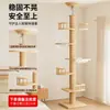 Tongtianzhu Estructura para trepar gatos Madera maciza Cama para gatos personalizada Árbol para gatos Espacio integrado Almacén Plataforma de salto para gatos No ocupa espacio Estructura para trepar gatos