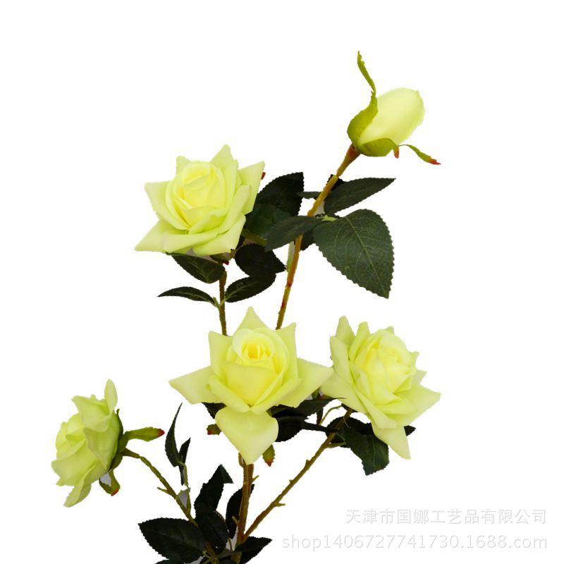 P1030549_副本