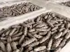 Fabricante de pepino de mar al por mayor pepinos de mar ligeramente secos 500 g, pepinos de mar secos, no cajas de regalo de pepino de mar, no pepinos de mar listos para comer