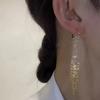 Una cortina de sueños, hermosos, brillantes, de moda, exquisitos, combinables con todo, con atmósfera de alta calidad, pendientes de cadena con borlas de trigo y hebillas para las orejas.