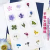 Pegatinas de Sellos de Cera Serie Flores Secas, Cinta de Doble Cara con Diseños de Gipsofila y Planta de Rosa, Etiquetas de Sello de Cera con Flores Secas