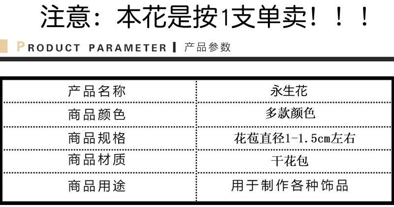 永生花参数图.jpg