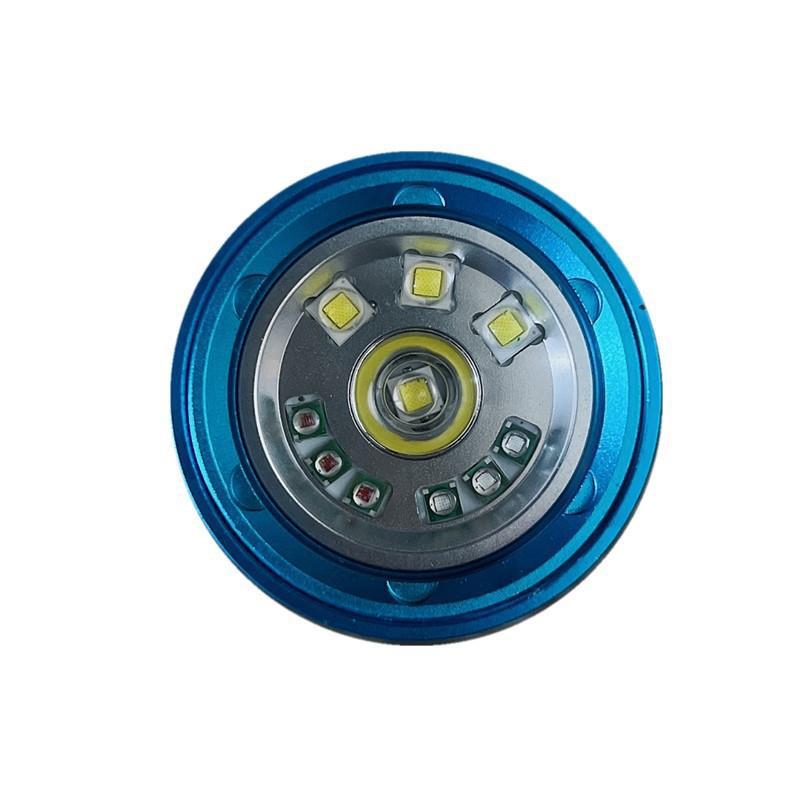 bgd4L2 (1)