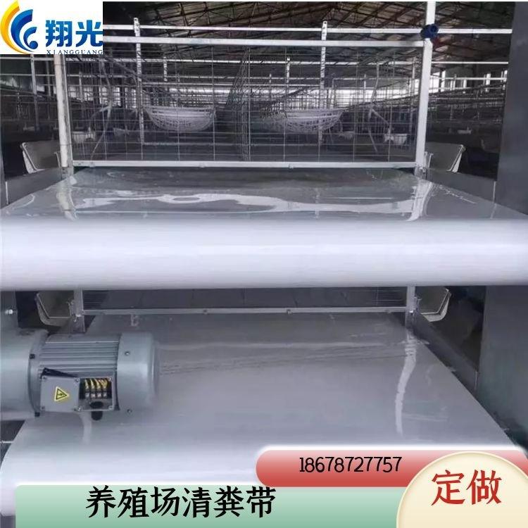 粪带 (2)