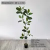 Plantas Verdes Artificiales de Interior, Árbol Banyan de Bengala para Decoración de Suelo de Sala de Estar, Diseño de Paisajes y Venta al por Mayor de Árboles Banyan Verdes Artificiales