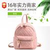 Mochila de Moda Casual Niche Texture Trendyy para Mujer Nueva 2023 Versátil de Alta Gama para Viaje Diario Bolsa de Estudiante