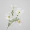 Pequeñas flores frescas naturales rama única cosmos princesa decoración del hogar arreglo floral adornos boda paisajismo floral