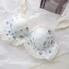 Conjunto de Lingerie Renda com Bordado Floral Estilo Japonês Doce Berry Selvagem para Mulheres com Seios Pequenos, Push-Up, Sem Fio, Conjunto de Sutiã Doce