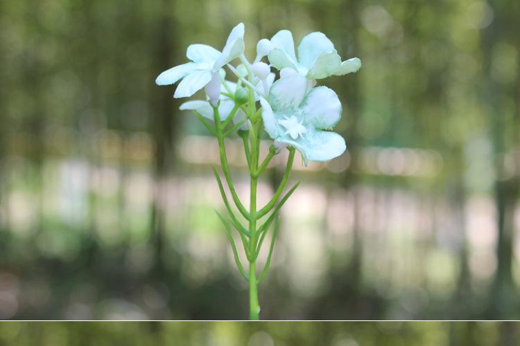 125-花草_11.jpg