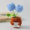 Flor de Tricô de Energia Positiva Transfronteiriça Planta em Vaso Produto Acabado Fio de Lã Flor de Simulação Ornamento de Mesa Boneca de Cartão de Mão