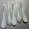 Pote de Temperos Colher Sal Colher de Cerâmica para Mexer Café Processamento Marca Personalizada Logo Cerâmica de Sobremesa Colher Pequena