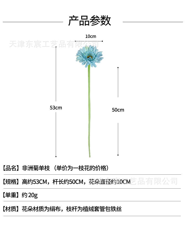 详情_01.jpg