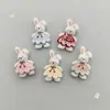 Accesorios de Conejito de Resina Materiales Hechos a Mano DIY Funda de Teléfono Pasador Zuecos Accesorios de Niña de Dibujos Animados Venta al por Mayor