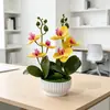Novo Modelo de 2 Hastes com 6 Flores e 6 Folhas, Bonsai de Orquídea Phalaenopsis Artificial com Textura Realista, Flores Artificiais para Decoração de Mesa de Sala de Estar, Planta Verde em Vaso