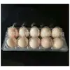 Bandeja de ovos média para 10 ovos, bandeja de embalagem de ovos com terra, bandeja de plástico transparente descartável espessa para ovos