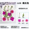 Paquete de Hojas de Flores Secas DIY Cristal Epoxi Paquete de Materiales de Flores Hechos a Mano Pegatinas de Flores Prensadas Materiales Plantas Decorativas Muestras Fotografía