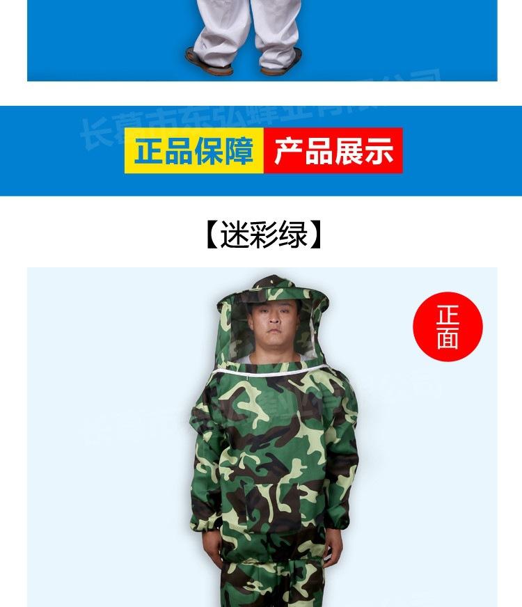 分体