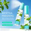 El spray bucal más vendido en comercio exterior transfronterizo para eliminar el mal aliento, spray bucal de sabor afrutado tipo press-on, personalización OEM de fábrica