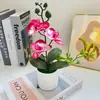Planta Artificial de Orquídea Phalaenopsis en Maceta de Película, Accesorios para Fotografía, Decoración Simple para Sala de Estar del Hogar, Planta Verde, Maceta, Adorno