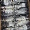 Vendas Diretas da Fábrica Douyin Mesmo Estilo Brinquedo para Gato Peixe Erva-do-Gato Cheio Simulação de Peixe Brinquedo de Pelúcia