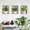 Tríptico de Planta Verde en Maceta Dormitorio Sala de Estar Entrada Decoración del Hogar Adhesivo de Pared Adhesivo Autoadhesivo Venta al por Mayor Hy-F441