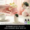 Difusor de Óleo Essencial Aromaterapia para Quarto de Menina de Luxo, Ornamento de Pedra, Pedra de Cristal Fragrância Sem Chama para Interior da Casa, Duradouro