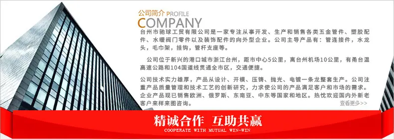 公司介绍-(1)