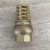 Bomba de sucção de água com válvula de fundo toda em cobre e malha de aço inoxidável, vertical, com mola, 4 pontos, 6 pontos, 1 polegada, DN15, com tela de filtro e válvula de retenção