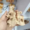 Talla de Madera de Tuyo del Taihang Tres Ovejas Abriendo Adornos Talla de Madera Maciza Oveja del Zodiaco Pieza de Mano Mascotas Artesanías Joyería