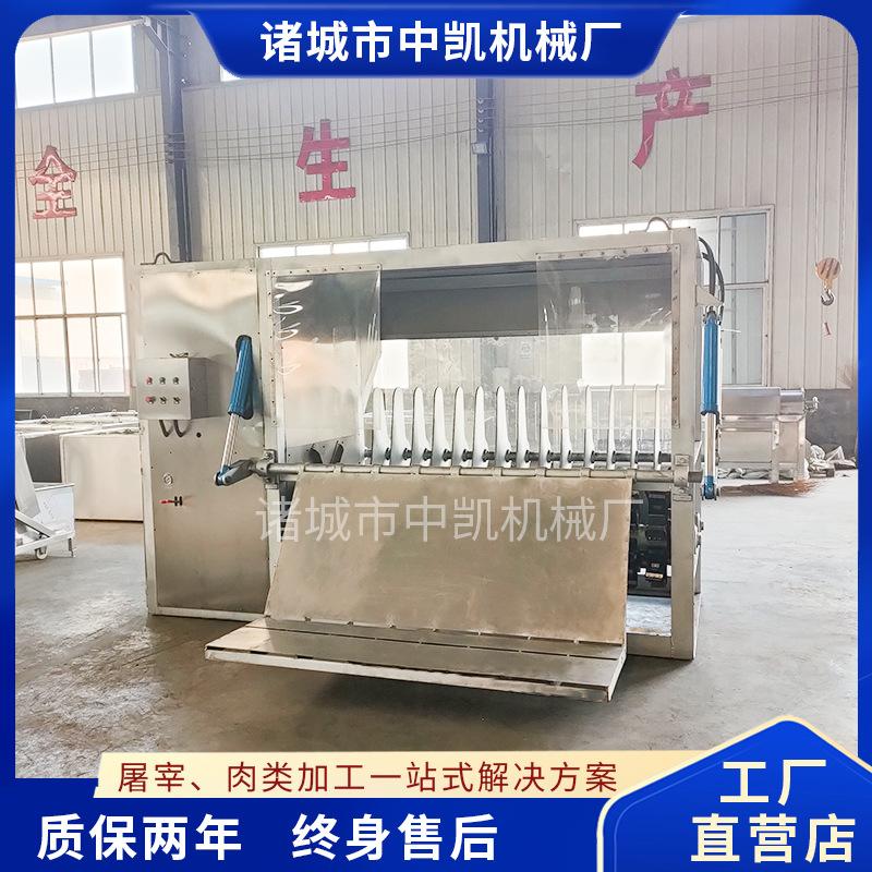 整猪刨毛机主图