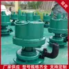 Bomba Neumática para Minería, Estructura Estable Bomba Neumática de Pistón para Minería, Bomba Sumergible Neumática para Minería Fwqb
