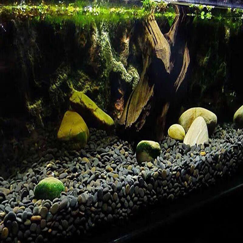 O1CN01D7w8sn1VjbcGzQxdO_!!2200