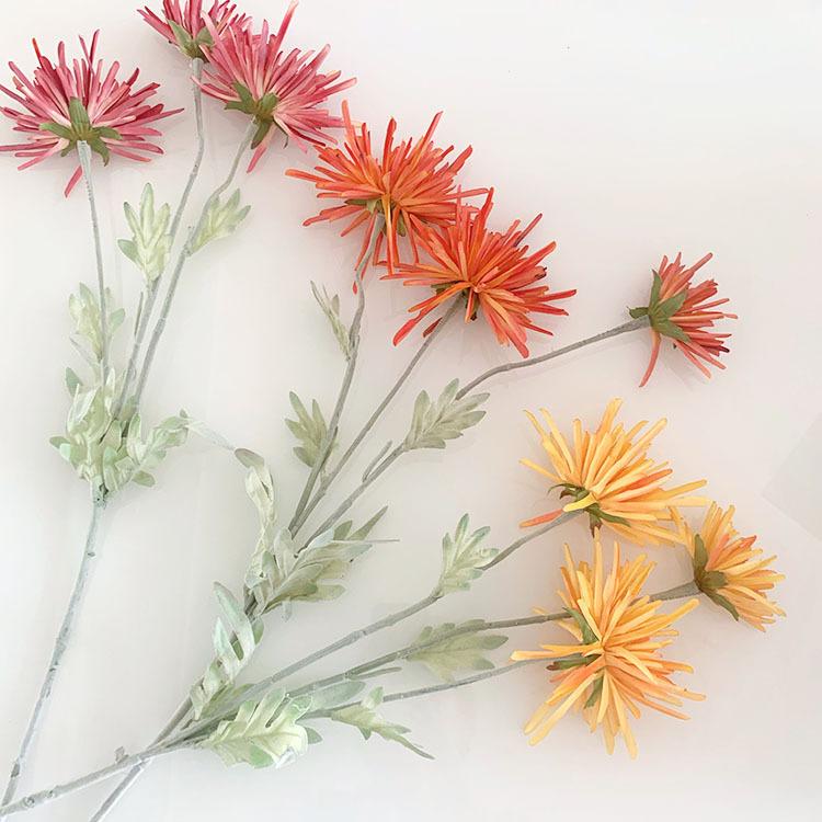 IMG_8034(20220721-111556)