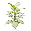 Planta Verde Artificial Grande Escandinava Elefante Blanco Siempreverde Adornos de Piso en Maceta Decoración de Interiores de Sala de Estar Plantas Falsas
