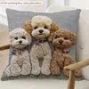 Funda de Alpaca Linda de Amazon Transfronteriza Funda Suave de Felpa Corta para Cojín de Sofá Decoración para Mesita de Noche de Coche