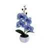Flor de Falanopsis de Cuatro Flores Piedra de Flor de Lluvia Bonsái Película de Impresión 3D Flor Artificial Adornos de Planta en Maceta Decoración de Escritorio de Oficina Flor Artificial