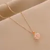 [Acero de Titanio] collar de acero de titanio de alta calidad para mujer moda lujo ligero diseño de nicho no se decolora cadena para la clavícula joyería al por mayor