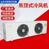 Ventilador Especial de Ar Frio para Armazenamento a Frio, Evaporador de Baixa Temperatura para Armazenamento a Frio, Ventilador de Ar Frio Montado no Teto para Armazenamento em Cadeia Fria e Processamento de Alimentos