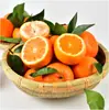 As Frutas Frescas da Estação de Wogan São Suculentas e Autênticas. Laranjas Cítricas Wogan Selecionadas de Guangxi São Colhidas e Enviadas Diretamente do Pomar