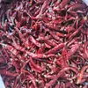 Tiras de Chile Seco, Sin Semillas, Ligeramente Picante, Extra Aromático, Picante Medio, Extra Picante, Chile Qin, Chile Chaotian, Tiras de Chile de Nueva Generación, Chile Diablo, Chile de Mar