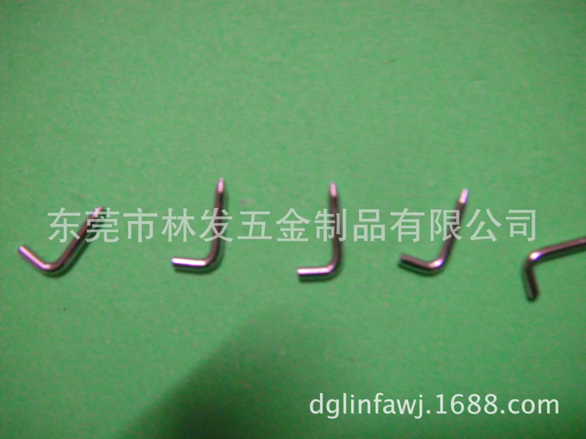 DSC03019