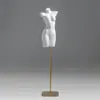 Mannequins de Meia-Corpo Masculino e Feminino para Exposição de Lingerie, Rack para Vitrine de Loja de Lingerie, Manequim, Rack para Exposição de Maiôs e Sutiãs, Modelo de Prateleira