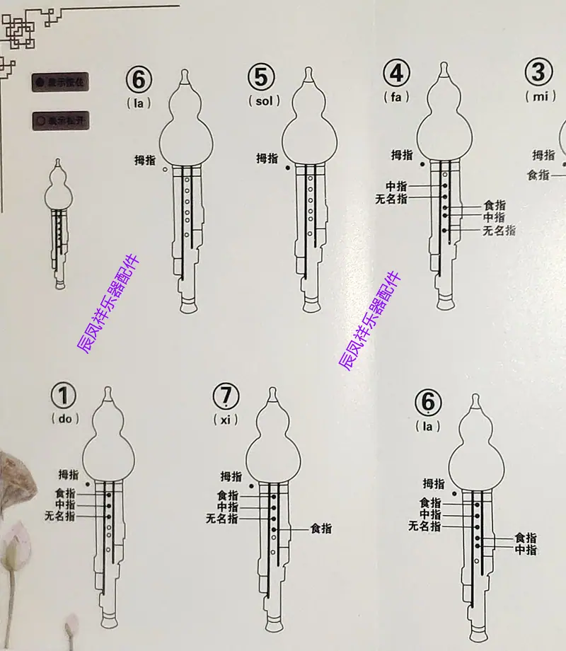 微信图片_20201109192645_副本