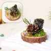 Adorno de musgo eterno para micro-paisaje de cristal con base de madera natural, decoración de cristal natural, piedra bruta de cristal, adorno de racimo de cristal