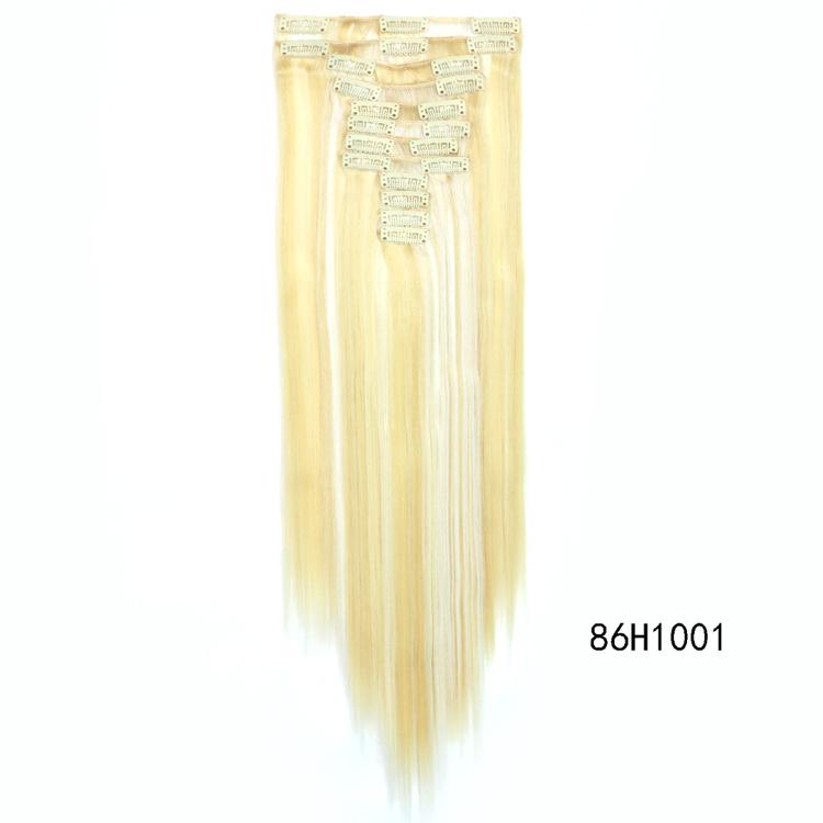 86H1001