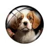 Porta-copos Acrílico Impresso para Cães Fofos e Saudáveis Decoração de Mesa e Carro Enfeites
