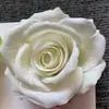 Cabeças de Flores Rosa de Veludo Clássicas Vintage para Decoração de Fundo de Casamento, Flores Artificiais Atacado
