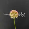 Arreglos Florales Rosas, Flores Artificiales, Diseño de Escena para Salón de Bodas, Decoración con Flores Falsas, Camino de Flores en el Techo, Hortensias, Rosas y Flores Delicadas