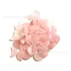 Venta caliente transfronteriza Piedra Natural Luna adornos no porosos cristal rosa amatista Decoración de menisco pequeño Luna creciente en vivo tiktok
